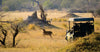 Masai Mara Jeep Safari Game Drives