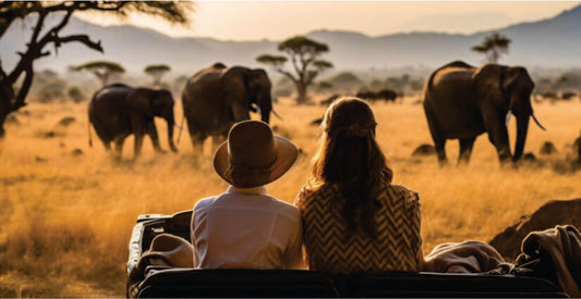 Two people sitting in a safari vehicle observing elephants in a grassy savanna at sunset.