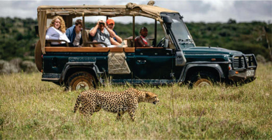 People on a luxury safari vehicle observing a cheetah in a grassy field on budget luxury safari game drives in Masai Mara