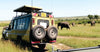 4x4 Safari vehicle on a grassy path with elephants on Samburu Kenya safari game drive adventures