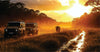 Two transfer safari jeeps on a dirt path with a cow in a misty forest at sunset.