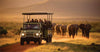 Group of visitors in a green open-sided safari jeep watching rhinos on hunting safari game drive in Masai Mara