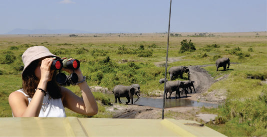 Woman observing elephants from a safari vehicle using binoculars.