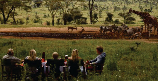 People watching wildlife from a safari vehicle in a grassy savannah.