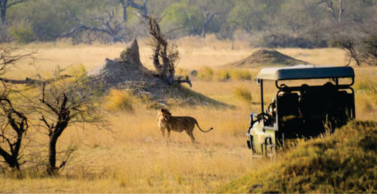 Masai Mara Jeep Safari Game Drives