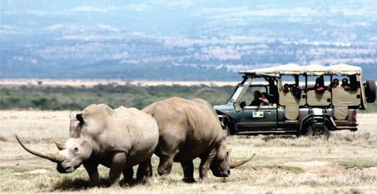 Group of visitors in a green open-sided safari jeep watching rhinos on safari in Masai hunting safari game drive in Masai Mara