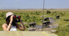 Woman observing elephants from a safari vehicle using binoculars.